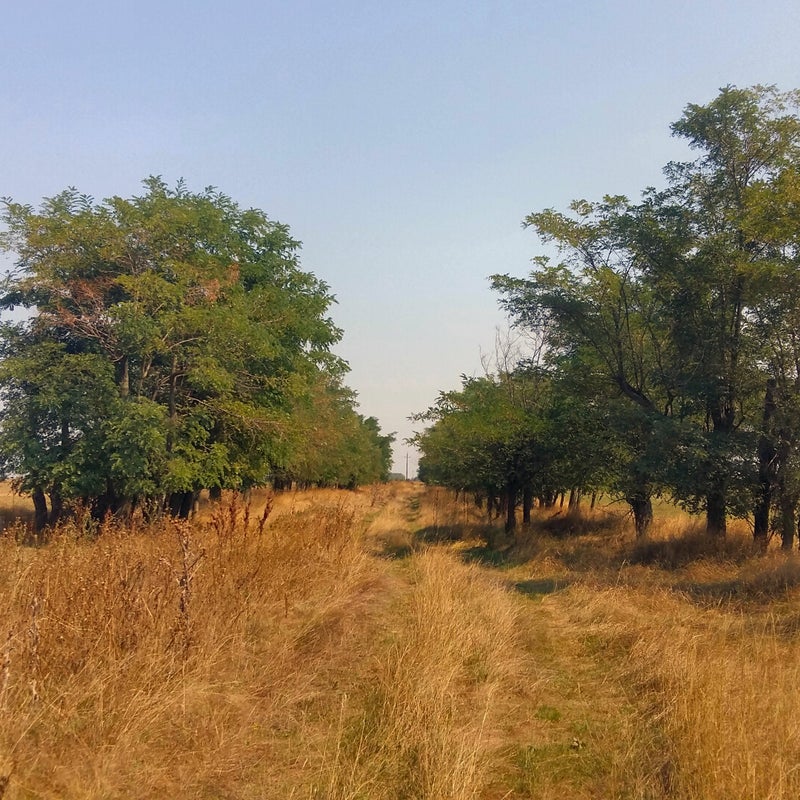 20190831_120028.jpg