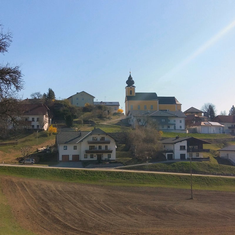 20190416_092628.jpg