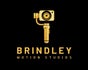 Brindley motion studios