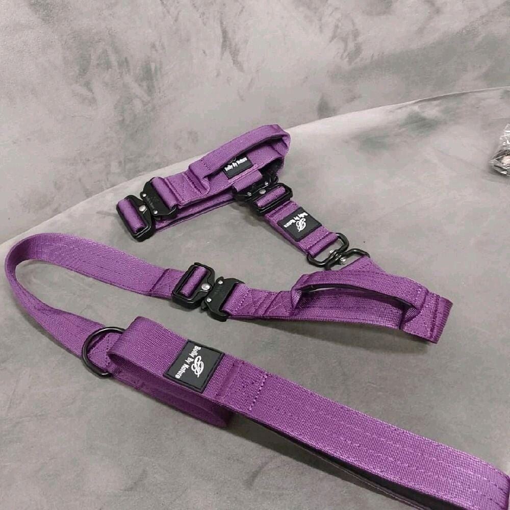Bully by Nature Tactical leash and collar set - medium *5cm x 43-58CM
