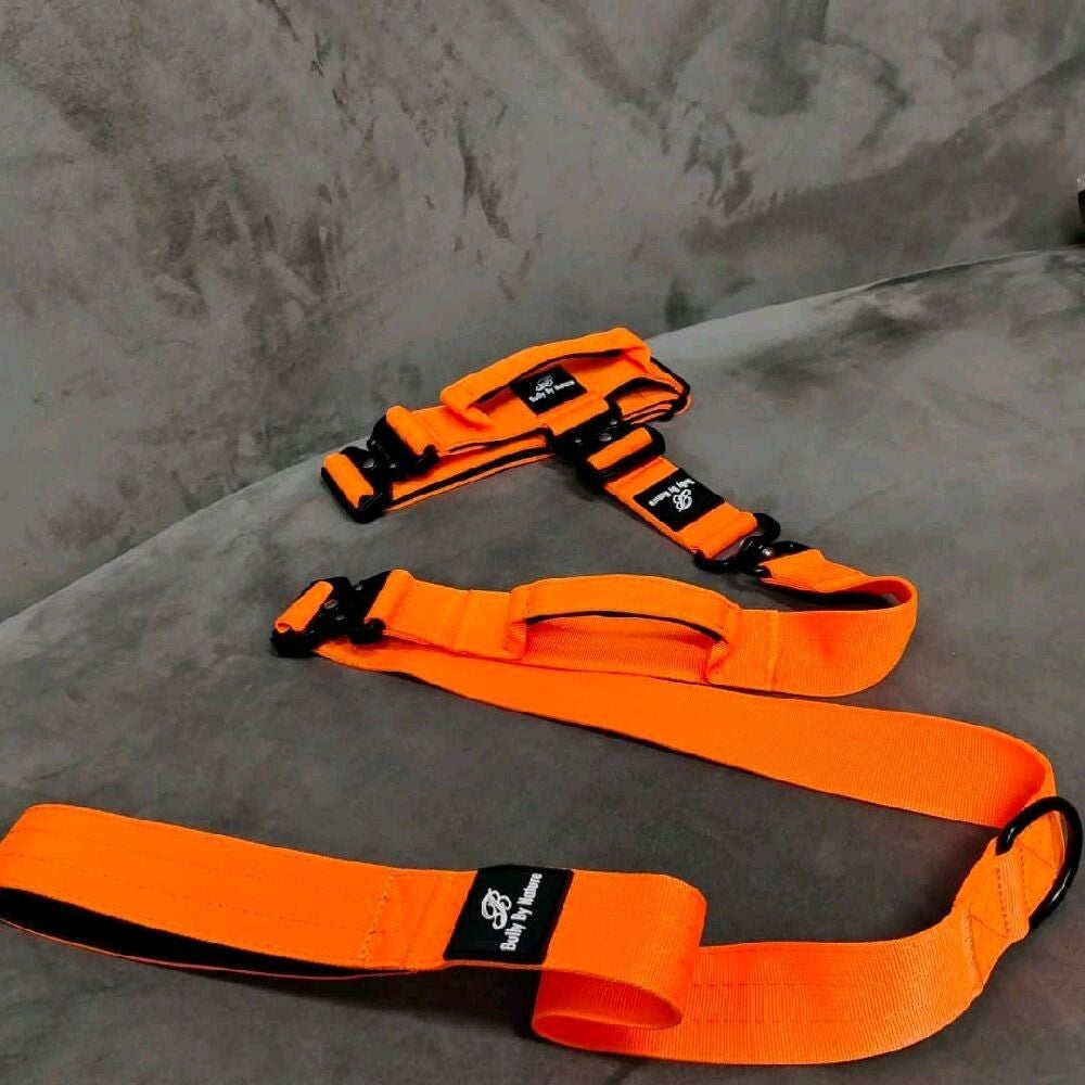 Bully by Nature Tactical leash and collar set ~ small *5cm x 40-50cm