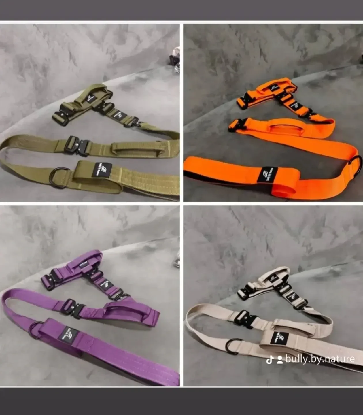 Bully by Nature Tactical leash and collar set- large *5cm x 50-65CM