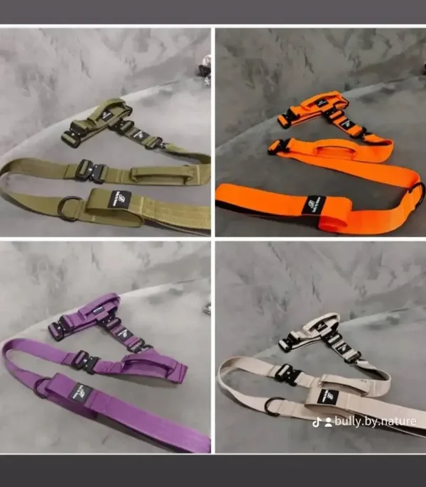 Bully by Nature Tactical leash and collar set- large *5cm x 50-65CM