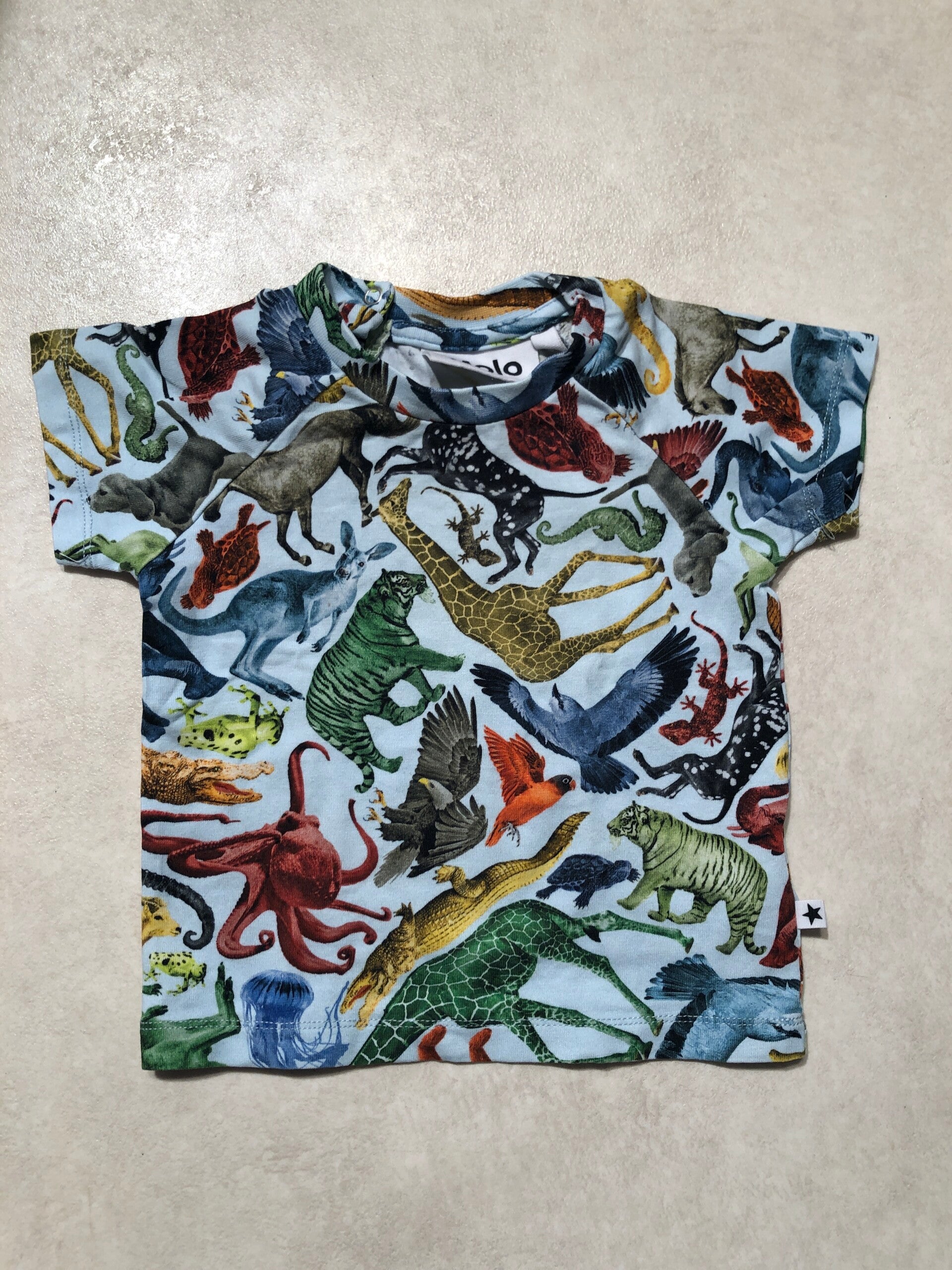 Molo t-shirt met verschillende dieren maat 62