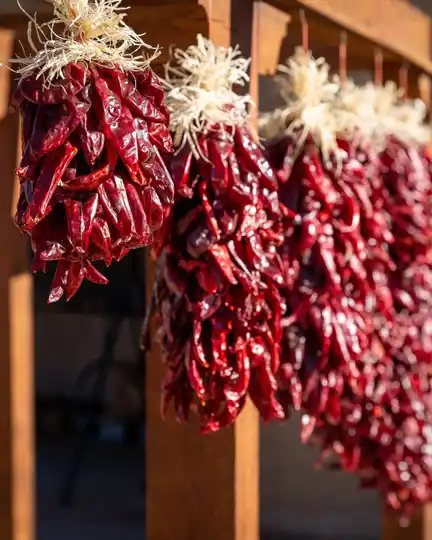 HATCH 3ft RISTRAS