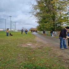 img-20231114-wa0010.jpg