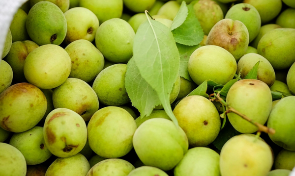 Reine Claude 100 gram