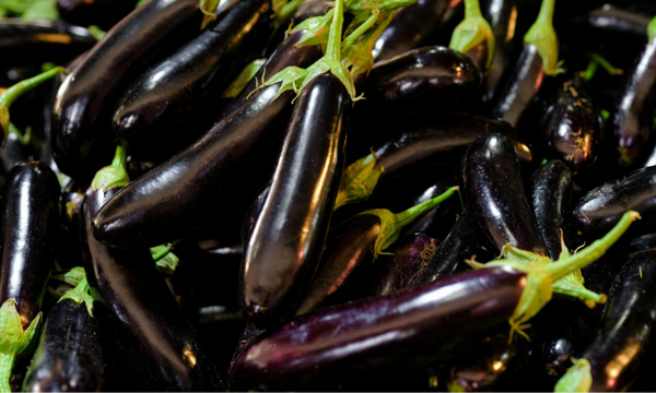 Aubergine
