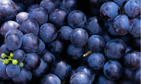 Druiven blauw 1 kg