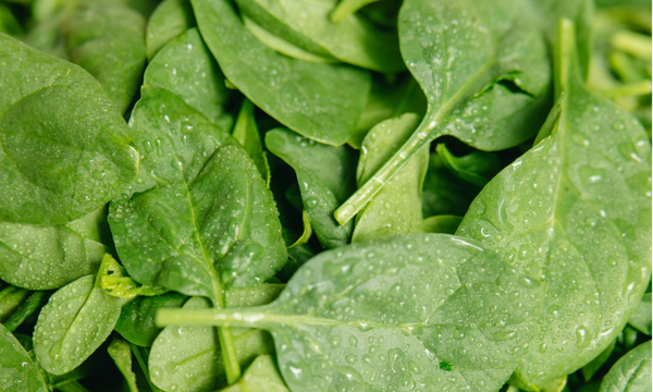 Spinazie gewassen 450 gram