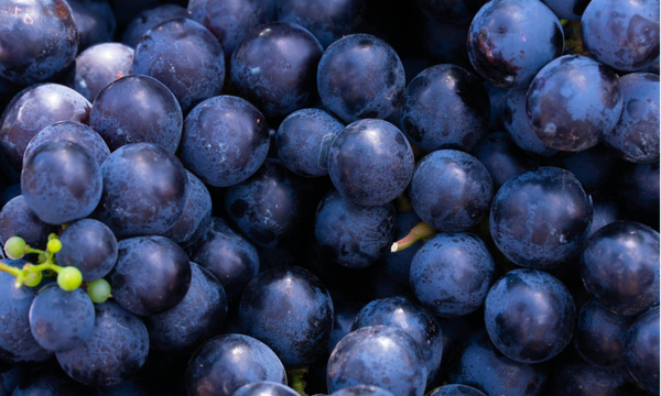 Druiven blauw 500 gram