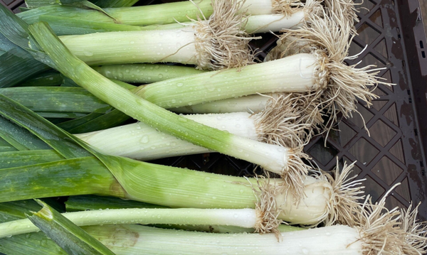 Prei ongesneden 100 gram