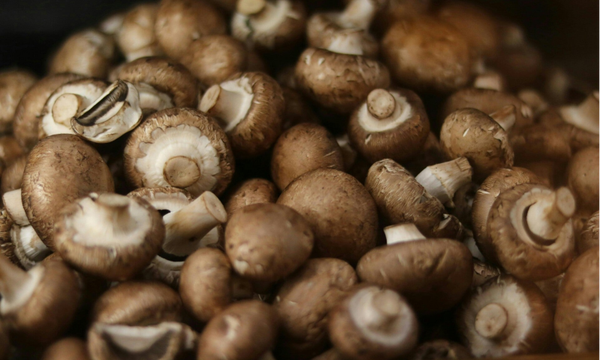 Kastanje champignon 250 gram