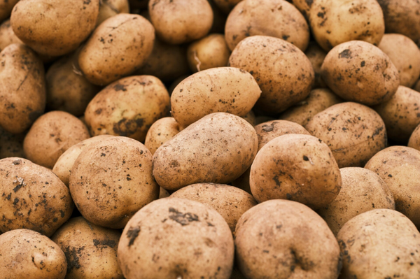 Frieslander 3 kg