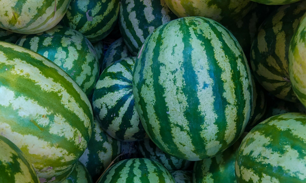 Watermeloen per stuk