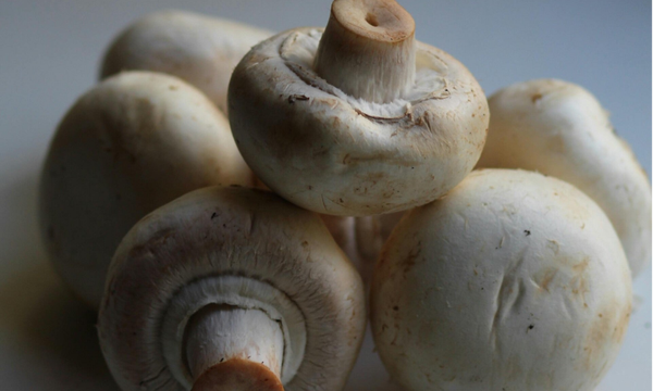 Champignon wit 250 gram