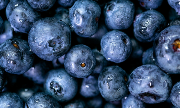 Blauwe bessen 125 gram