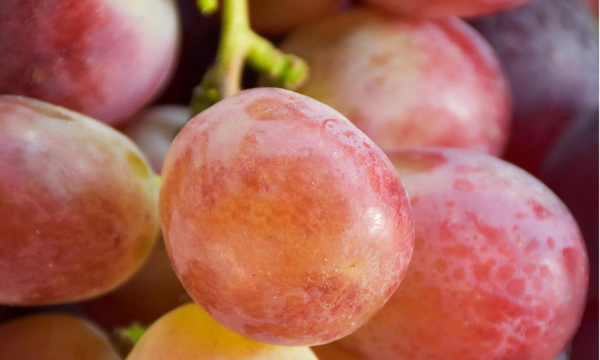 Druiven rood 500 gram