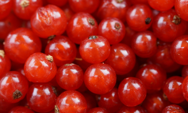 Rode bessen 125 gram