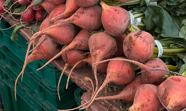 Gele bieten 100 gram