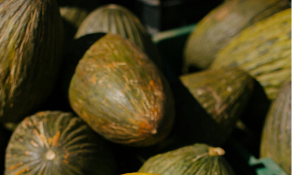 Piel de Sapo per stuk