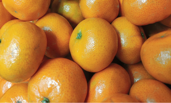Satsuma 500 gram