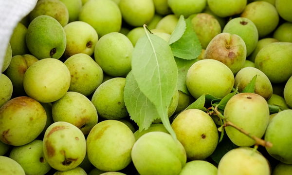 Reine Claude 500 gram