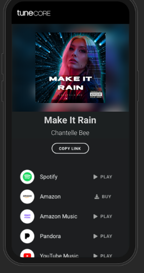 Chantelle bee new single #makeitrain #popmusic #newrelease