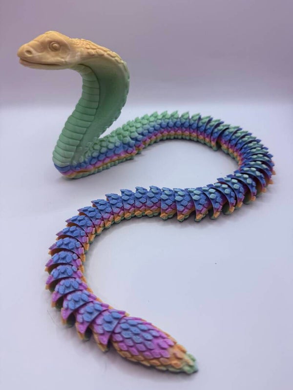 🐍 Rainbow Serpent