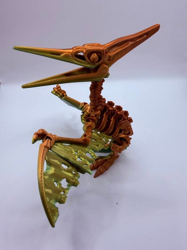 Prehistoric Pterosaur Skeleton