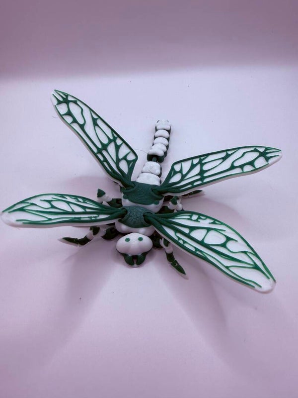 Emerald Wing Dragonfly