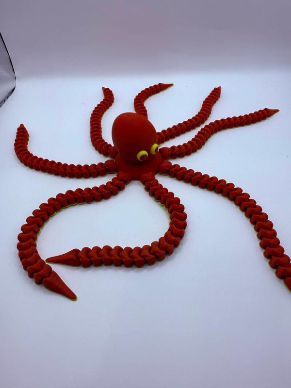 Wavy Tentacle Octopus