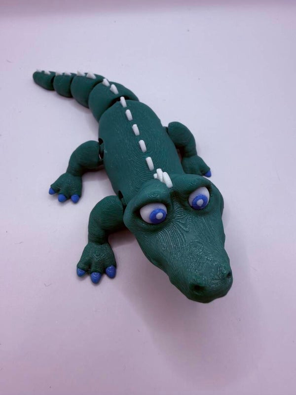 🐊 Playful Alligator