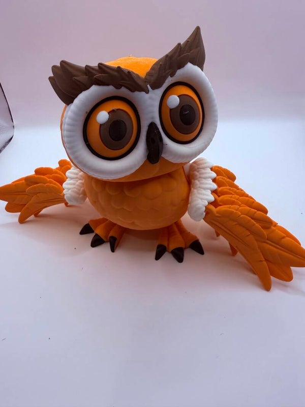 🦉 Wide-Eyed Owl