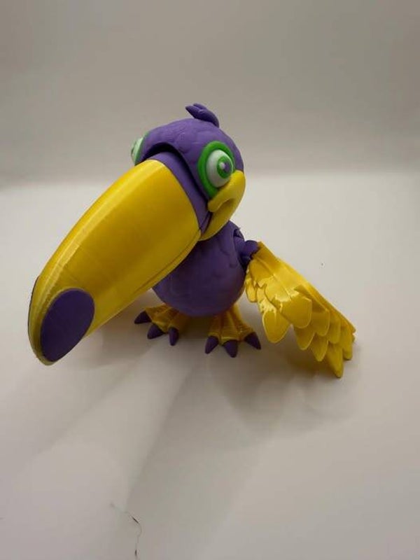 Toucan Bird