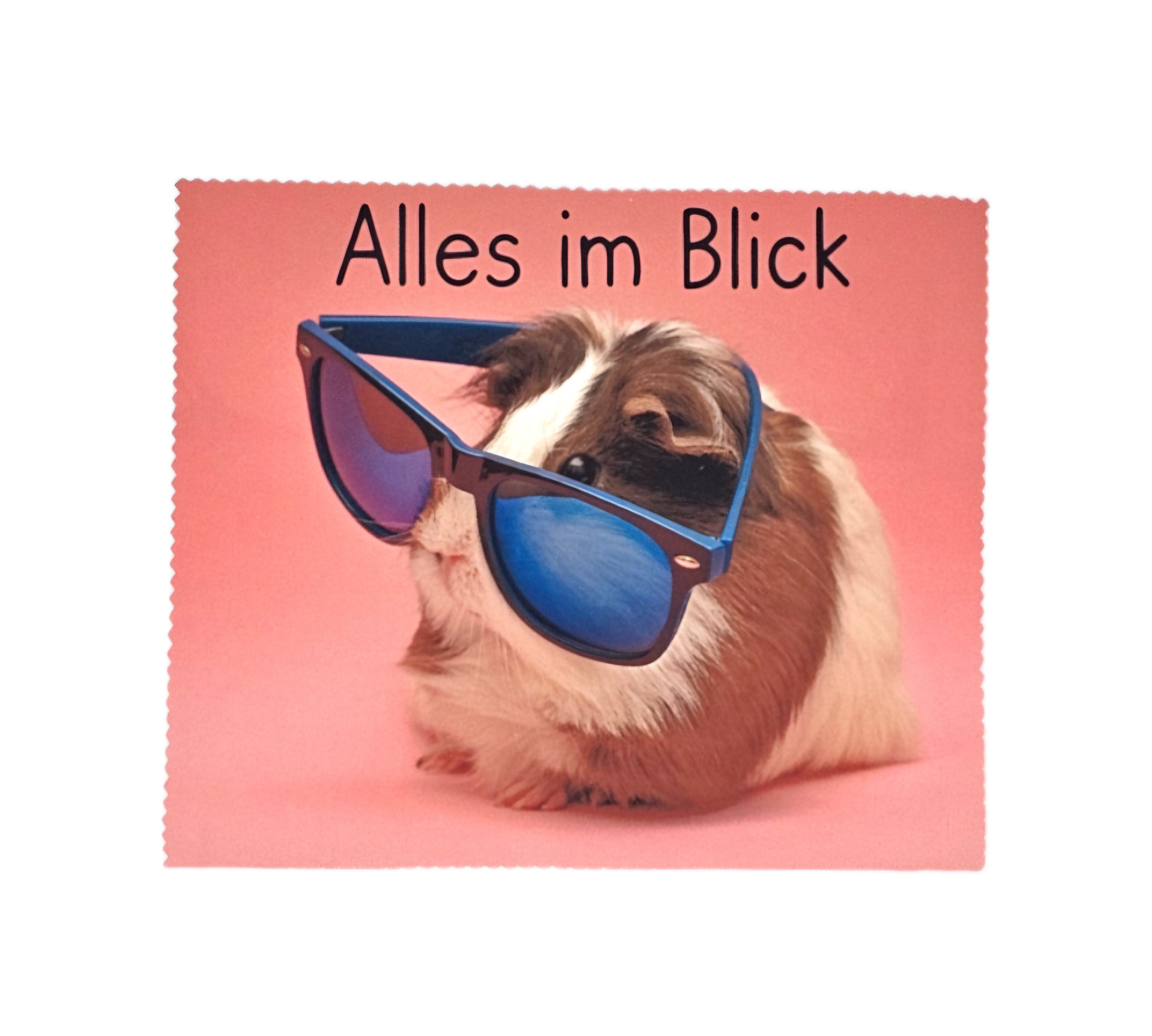 Brillenputztuch - Alles im Blick
