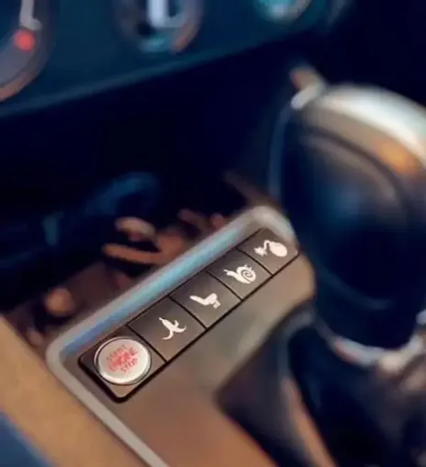 Car Accessory Stickers: Funny Decals For Blank Buttons