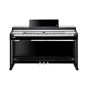 KURZWEIL CUP P1 Bk Poli