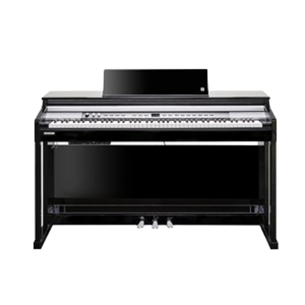 KURZWEIL CUP P1 Bk Poli