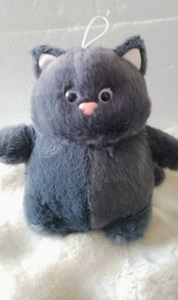 Entzückende  graue Kuschelkatze