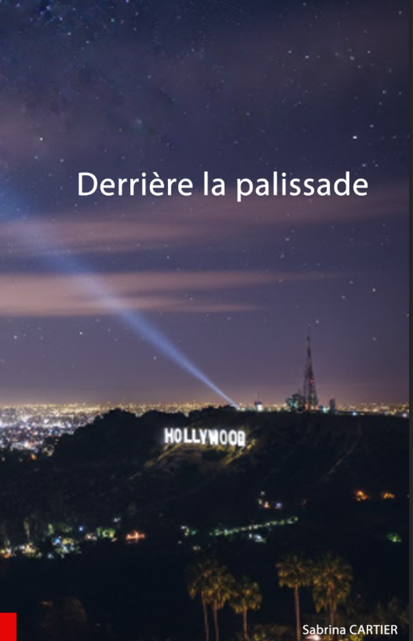 Derrière la palissade (numérique)