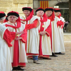 image-547.jpeg