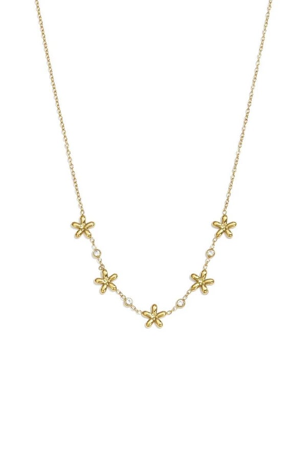 Cato ketting