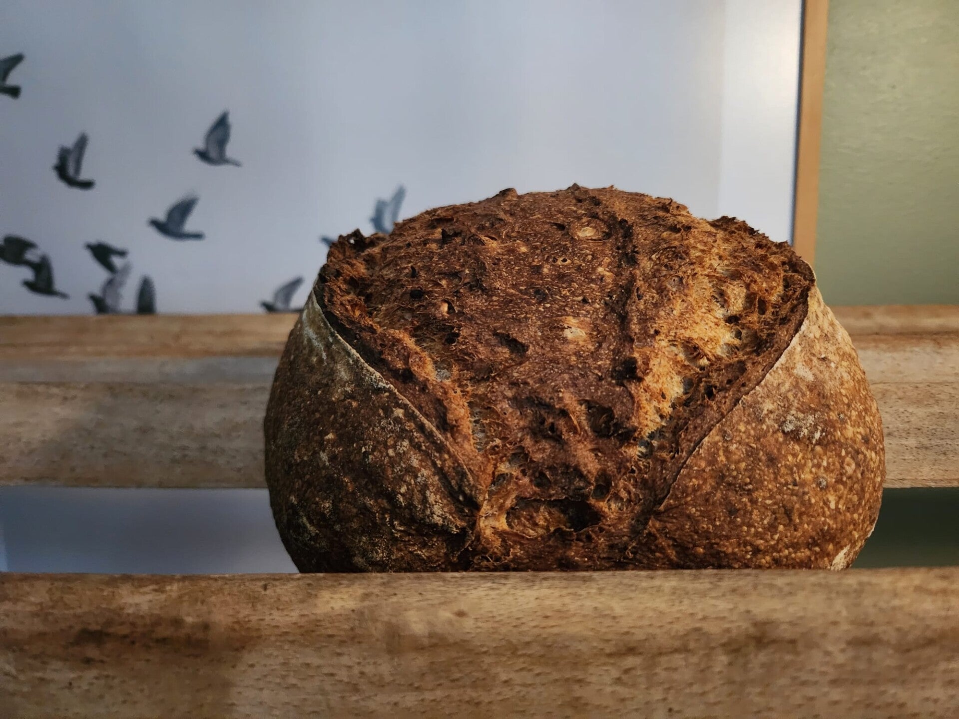Roodborstbrood