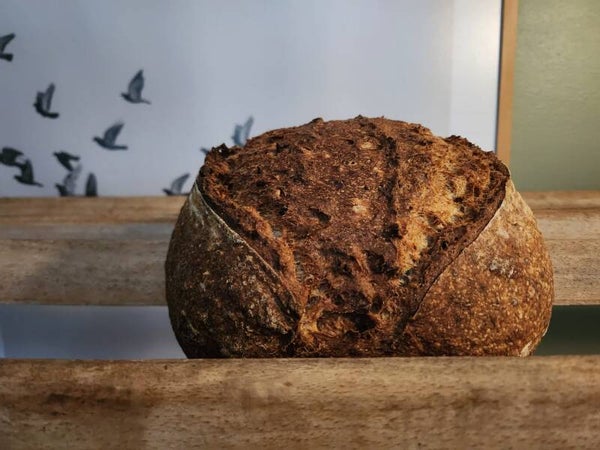 Roodborstbrood