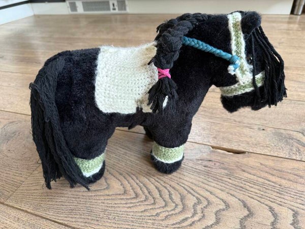 Accessoires (kleding, tuigjes etc.)