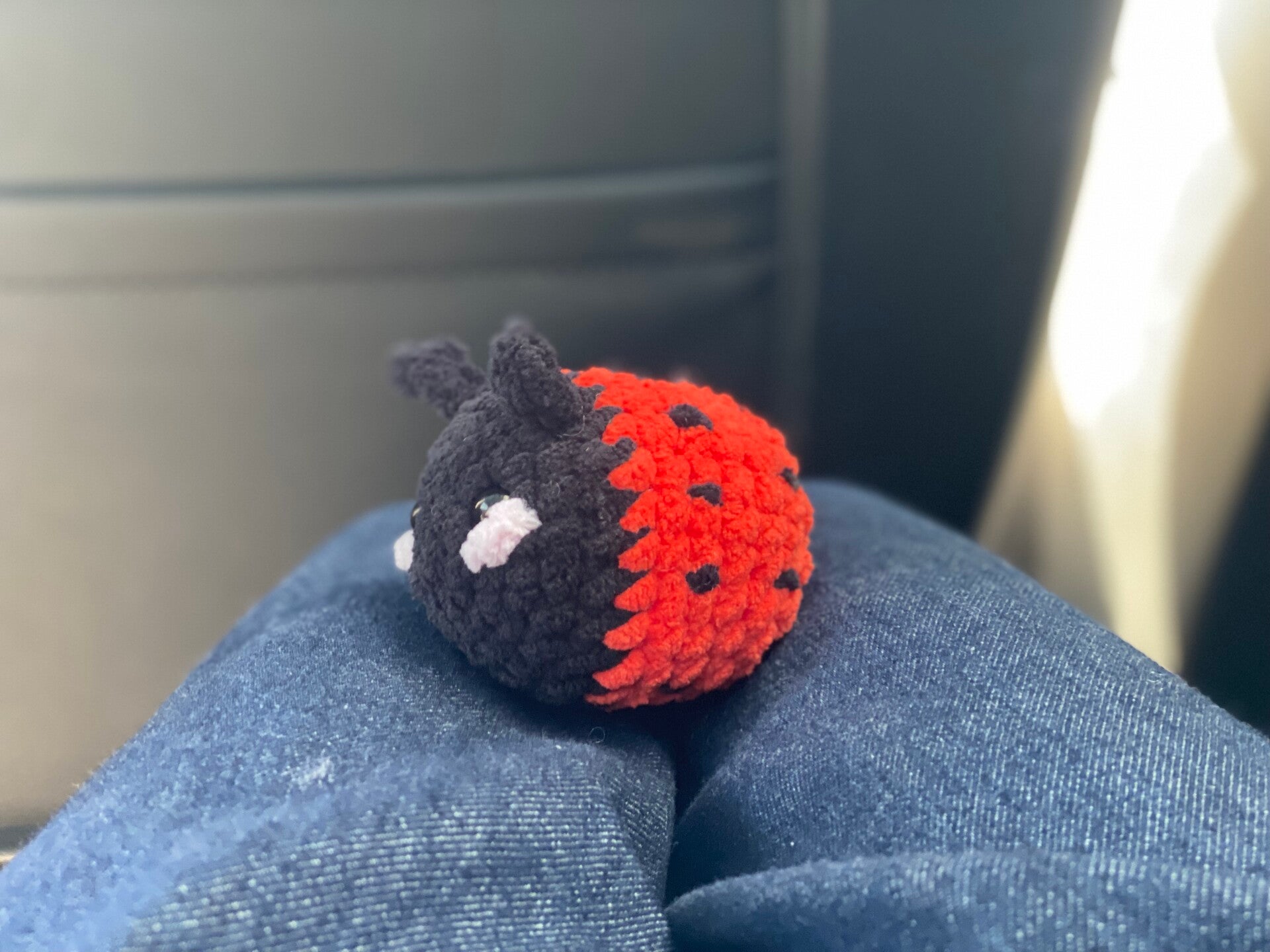 De lady bug