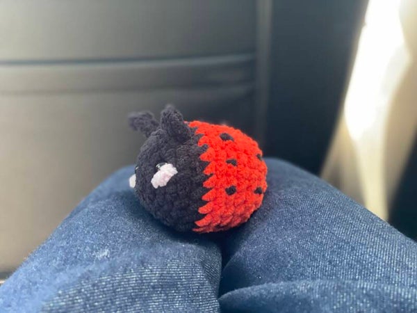 De lady bug
