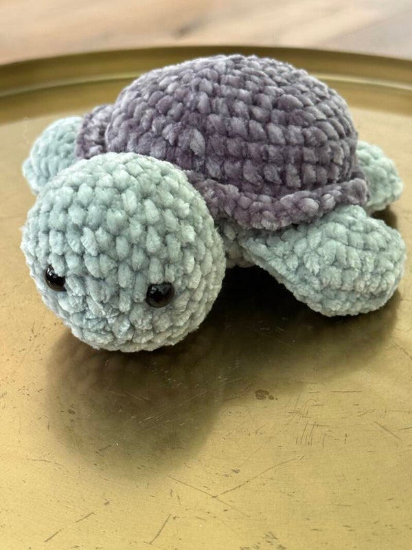 Schildpad