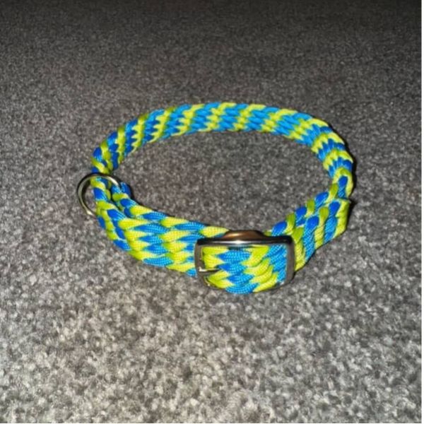 Standard Dog Collar